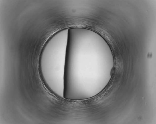 X0000091170386200708091029