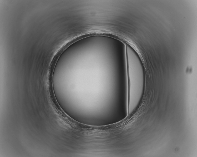 X0000091170387200708091029