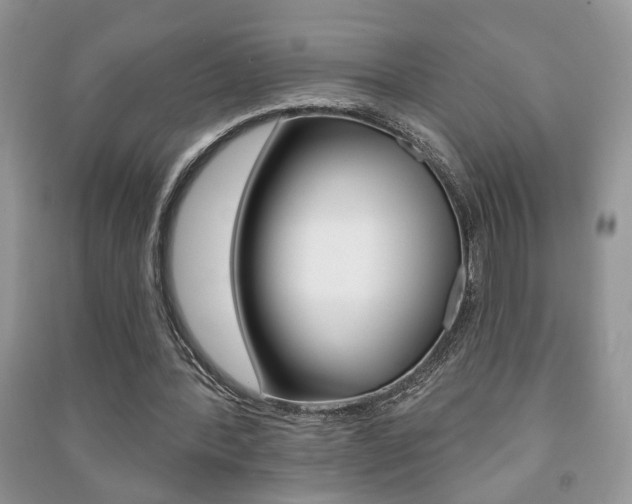 X0000091170388200708091029