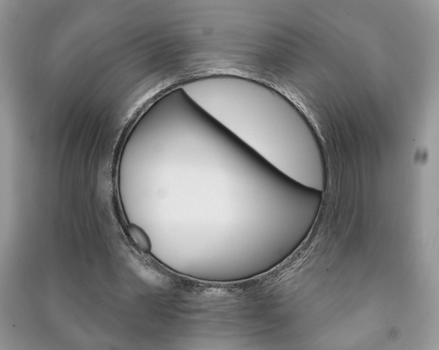 X0000091170390200708091029