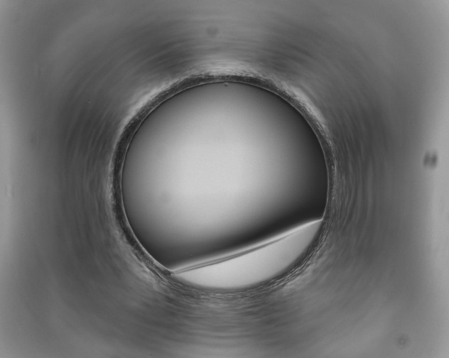 X0000091170391200708091029