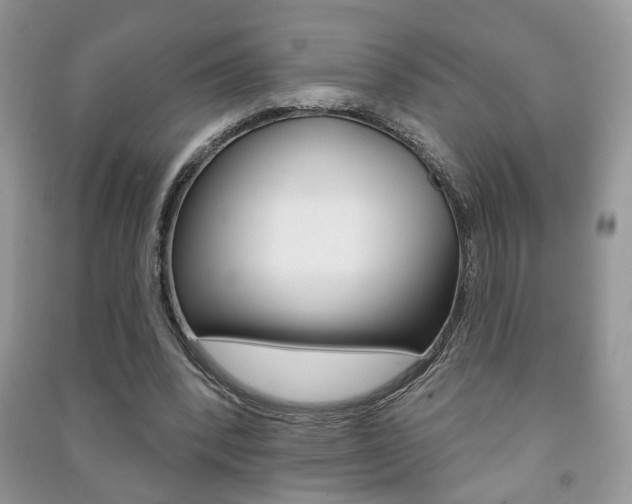 X0000091170392200708091029