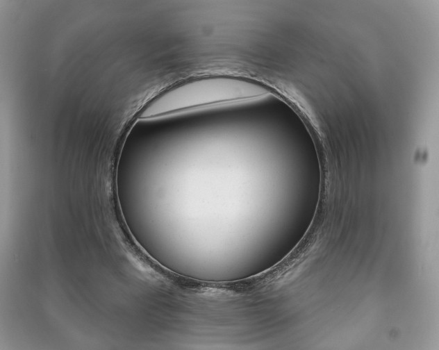 X0000091170393200708091029