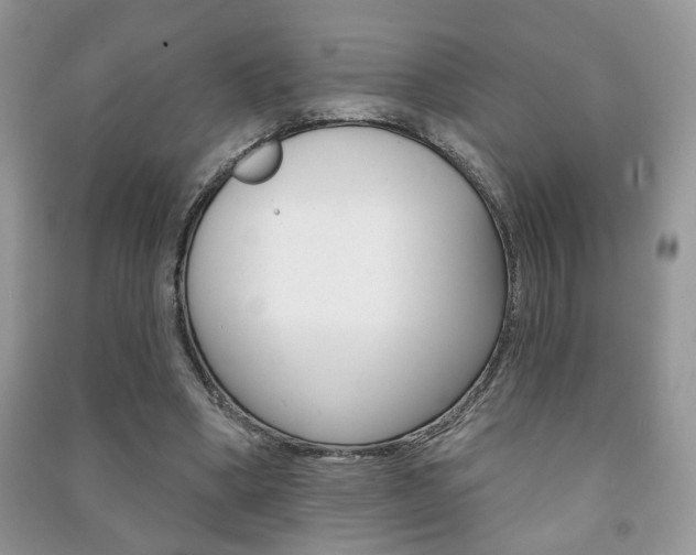 X0000091170394200708091029