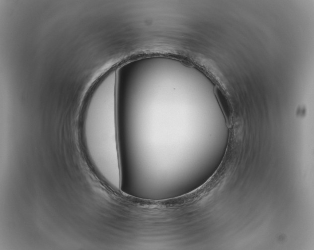 X0000091170395200708091029