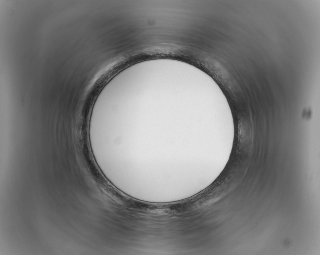 X0000091170396200708091029