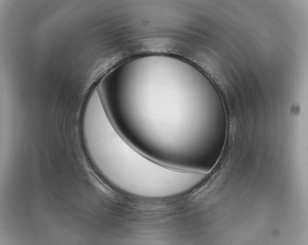 X0000091170397200708091029