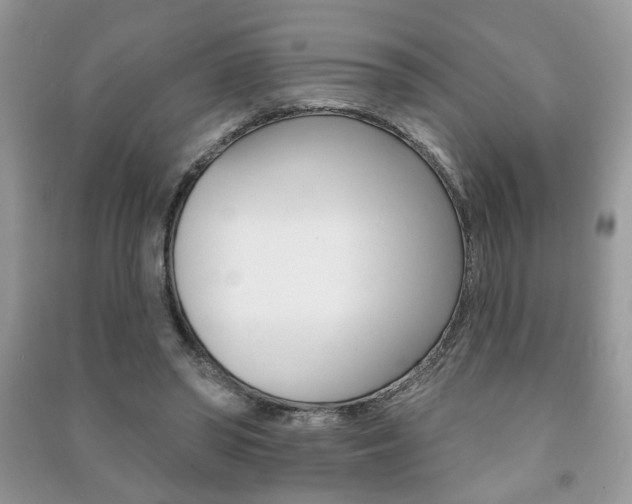 X0000091170398200708091029