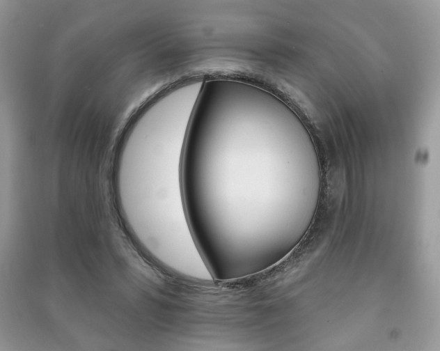 X0000091170399200708091029