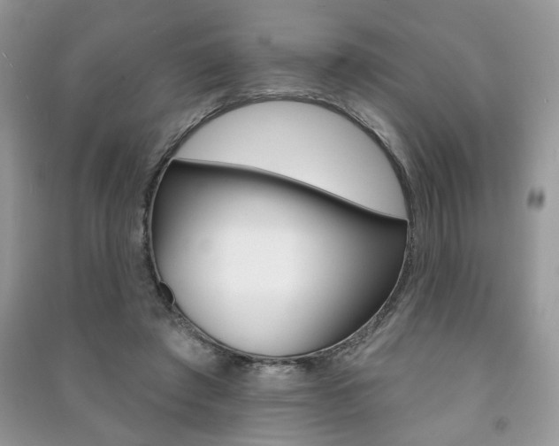 X0000091170401200708091029