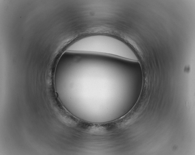 X0000091170403200708091029