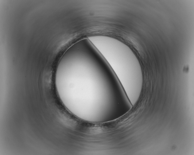 X0000091170404200708091029