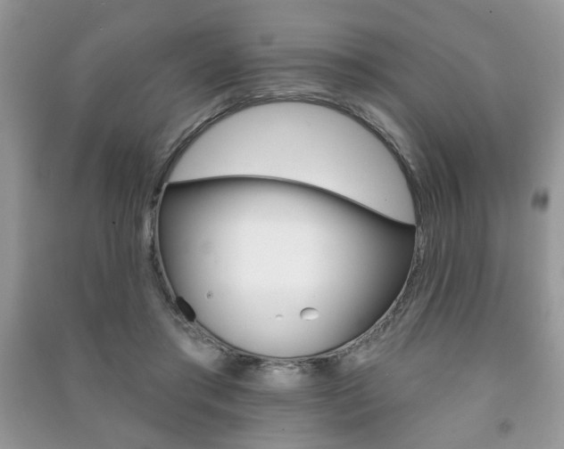 X0000091170405200708091029