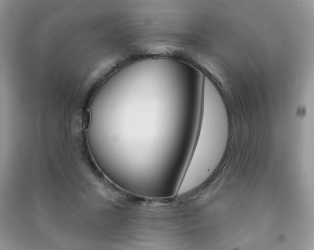X0000091170407200708091029