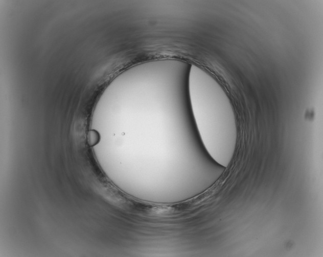 X0000091170410200708091028