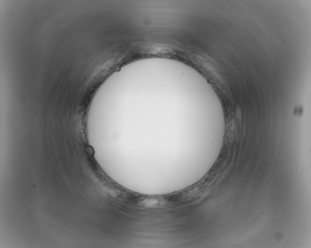 X0000091170415200708091028