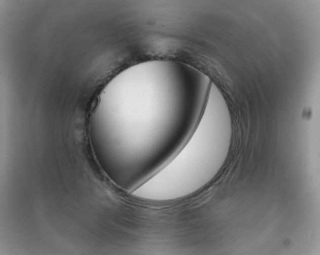 X0000091170416200708091028