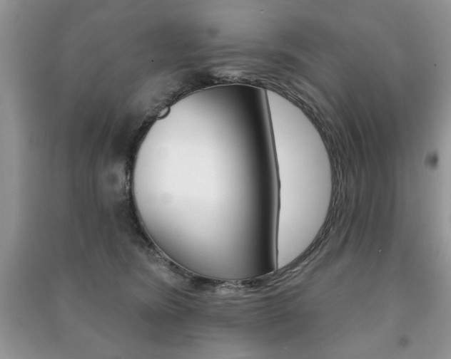 X0000091170420200708091028