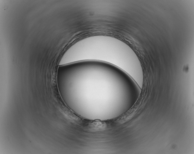 X0000091170421200708091028