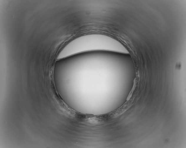 X0000091170423200708091028