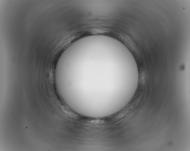 X0000091170426200708091028