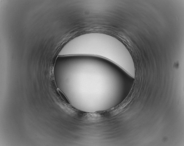 X0000091170429200708091028
