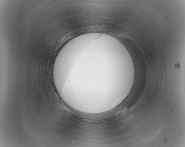 X0000091170431200708091028