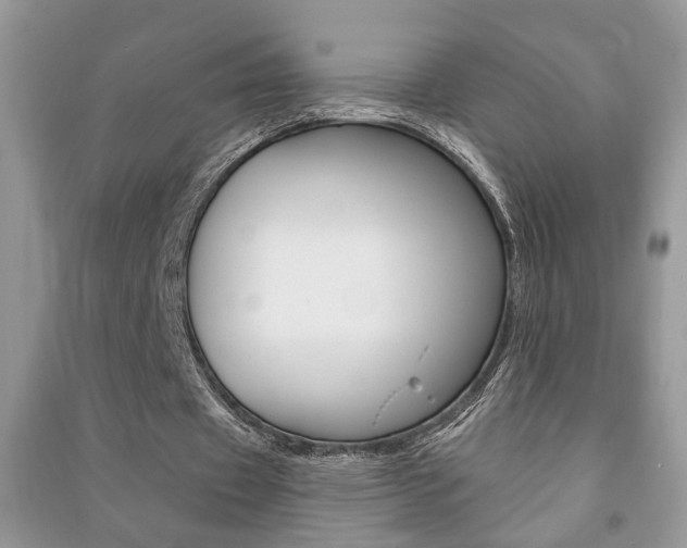 X0000091170433200708091027