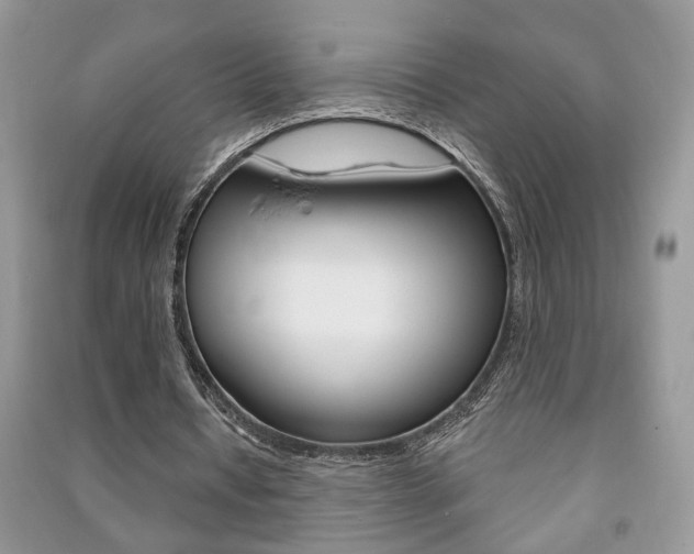 X0000091170434200708091027