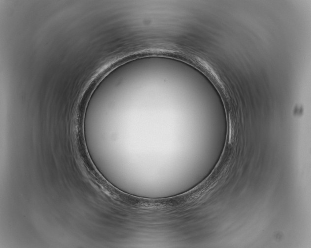 X0000091170435200708091027