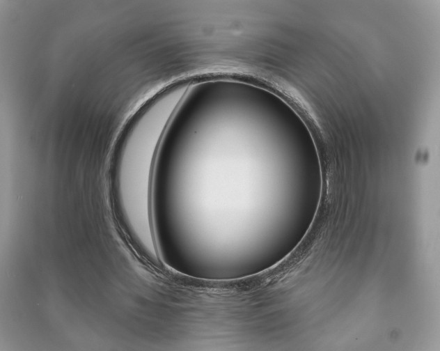 X0000091170436200708091027