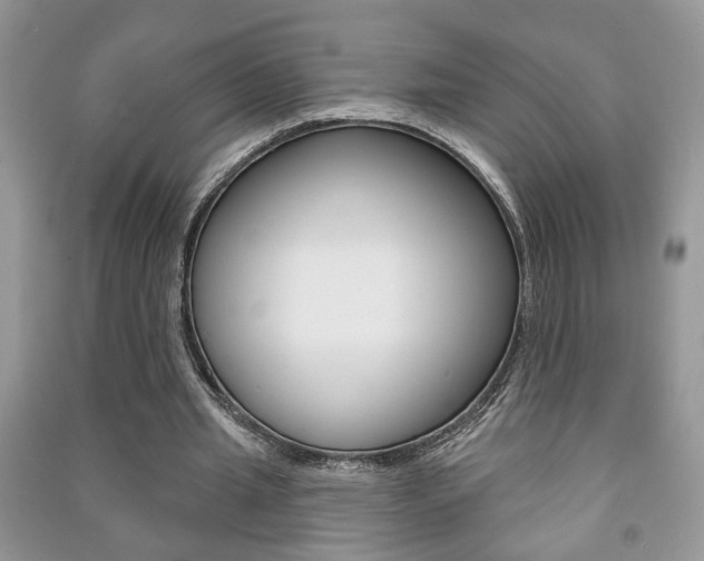 X0000091170437200708091027