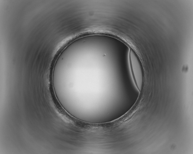 X0000091170438200708091027
