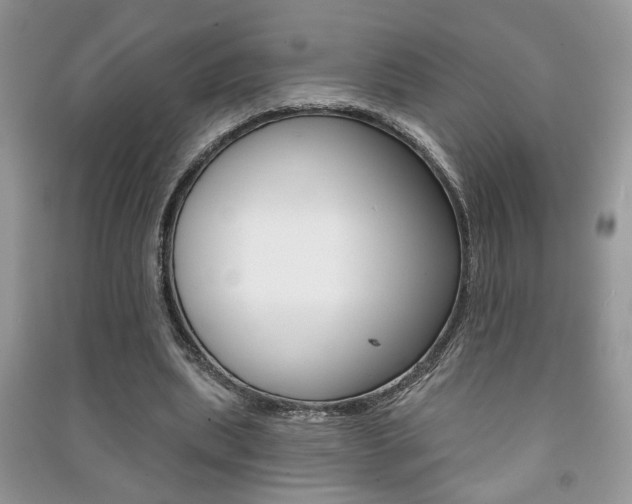 X0000091170439200708091027