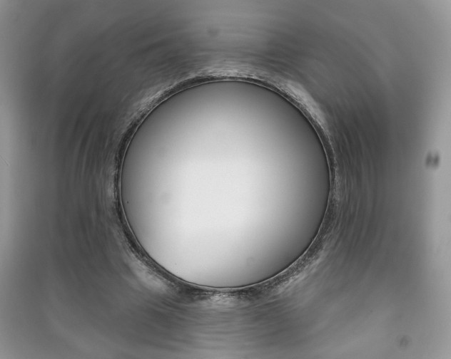 X0000091170441200708091027