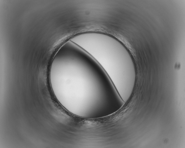 X0000091170442200708091027