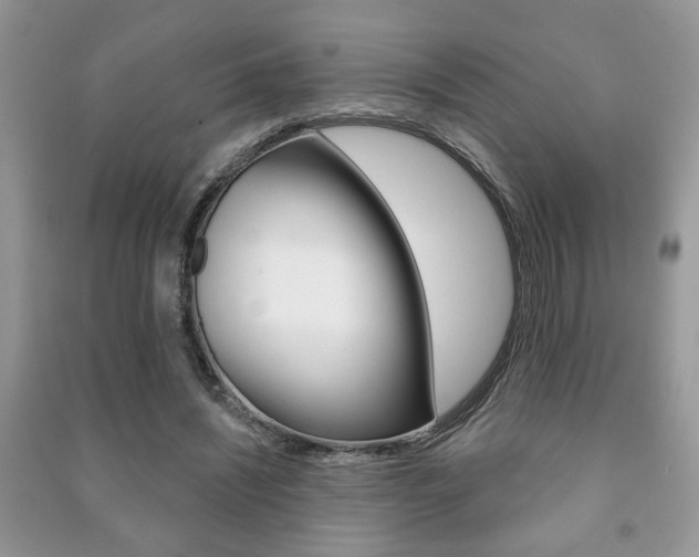 X0000091170444200708091027