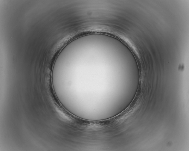 X0000091170445200708091027