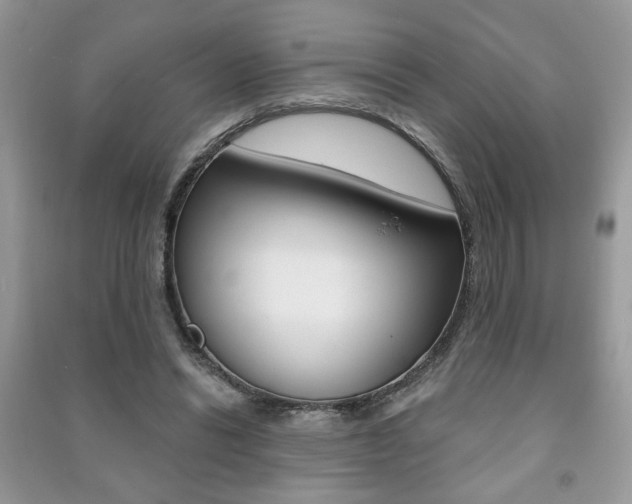 X0000091170446200708091027