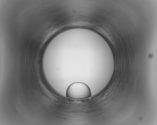 X0000091170448200708091027