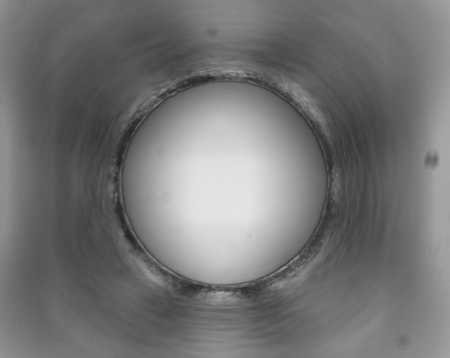 X0000091170449200708091027