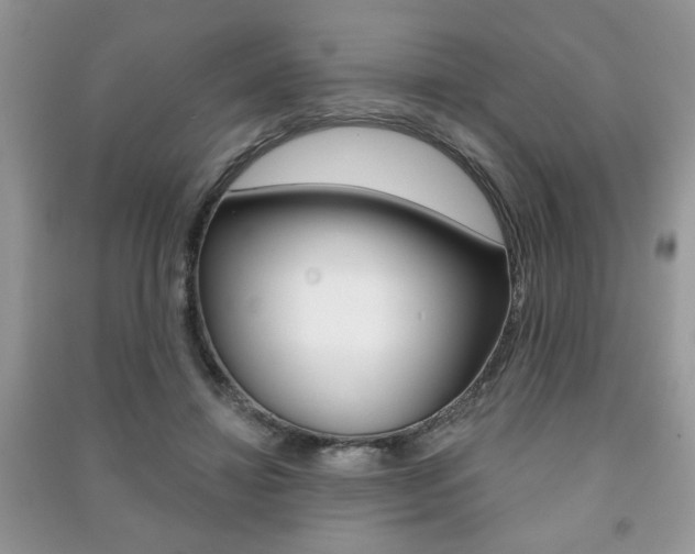 X0000091170452200708091027