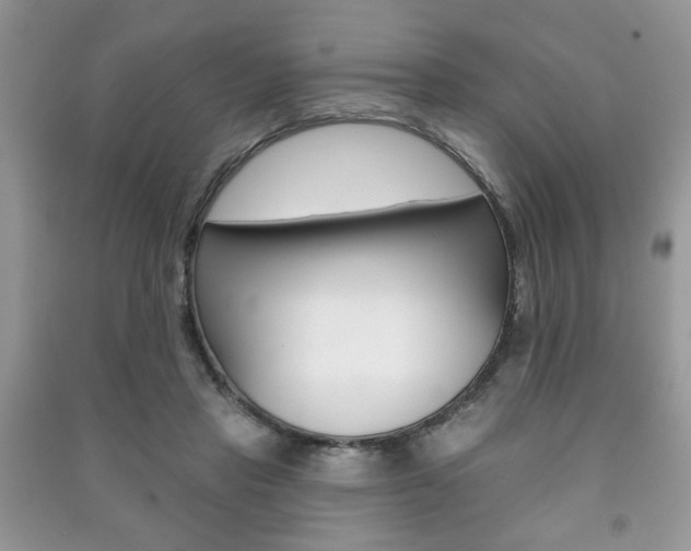 X0000091170453200708091027