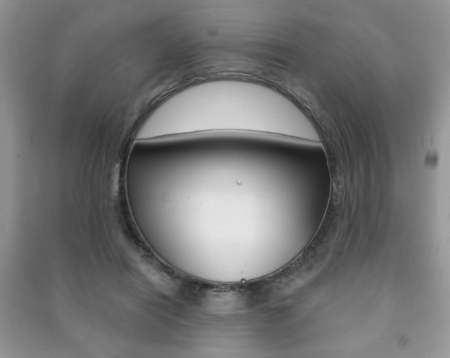 X0000091170454200708091028