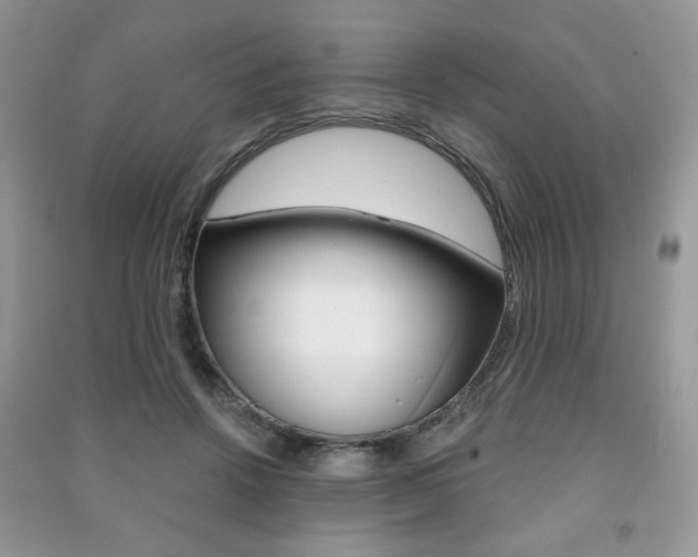 X0000091170456200708091028