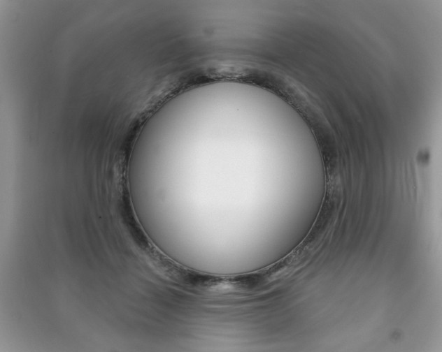 X0000091170460200708091028