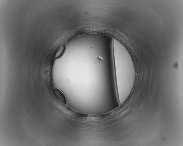 X0000091170462200708091028