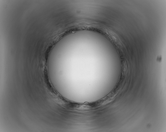 X0000091170463200708091028