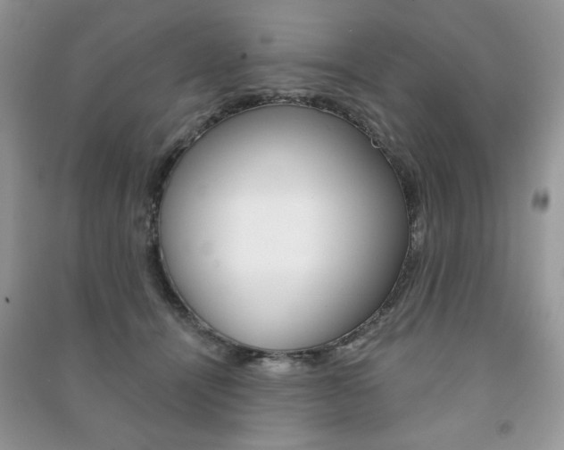 X0000091170464200708091028