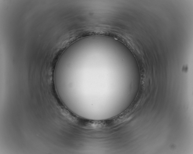 X0000091170466200708091028